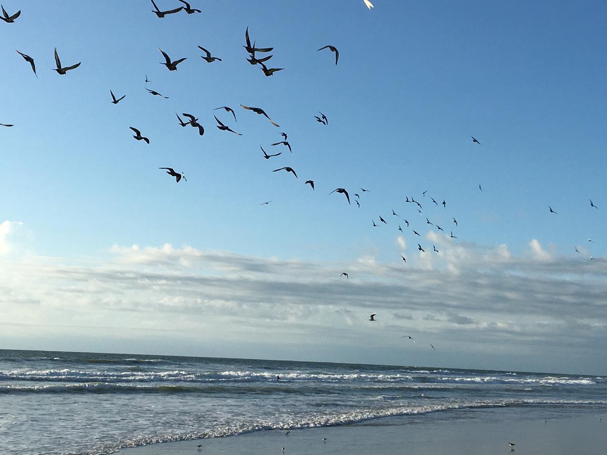 Spanish Main Cocoa Beach Esterno foto